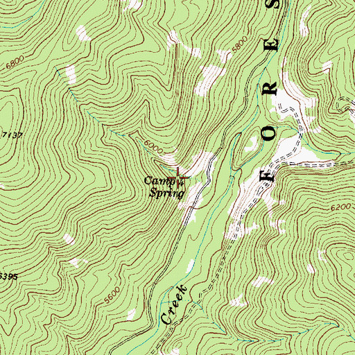 Topographic Map of Camp Spring, MT