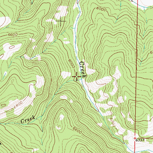 Topographic Map of Canyon Creek, MT