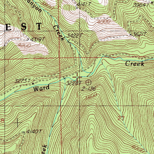 Topographic Map of Canyon Creek, MT