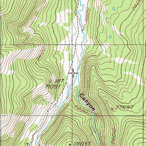 Topographic Map of Canyon Creek, MT