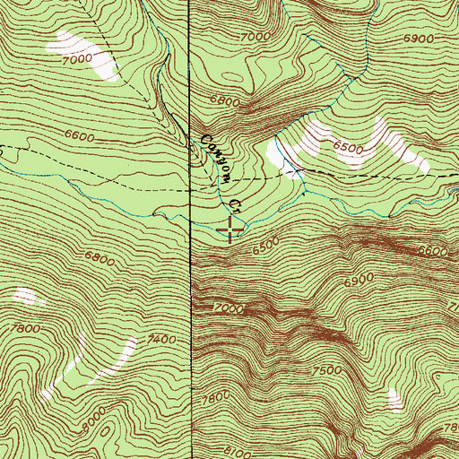 Topographic Map of Canyon Creek, MT