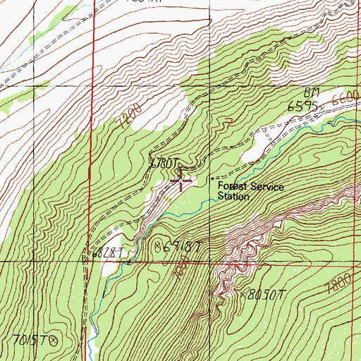 Topographic Map of Canyon Creek Guard Station, MT