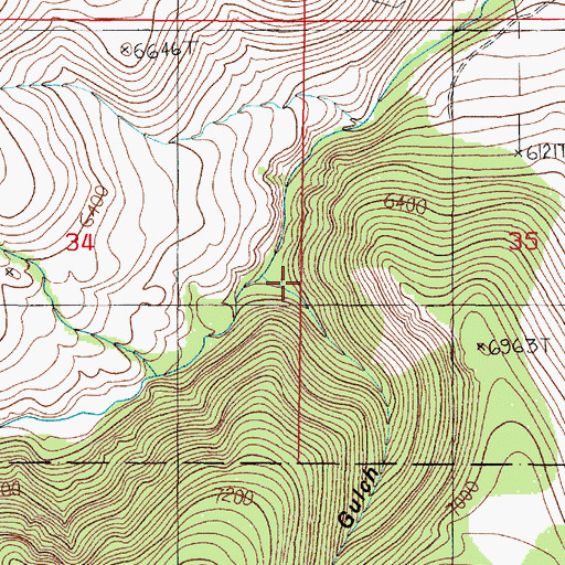 Topographic Map of Canyon Gulch, MT