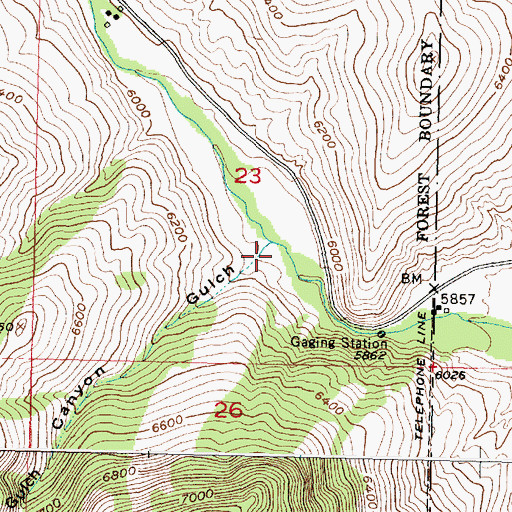 Topographic Map of Canyon Gulch, MT