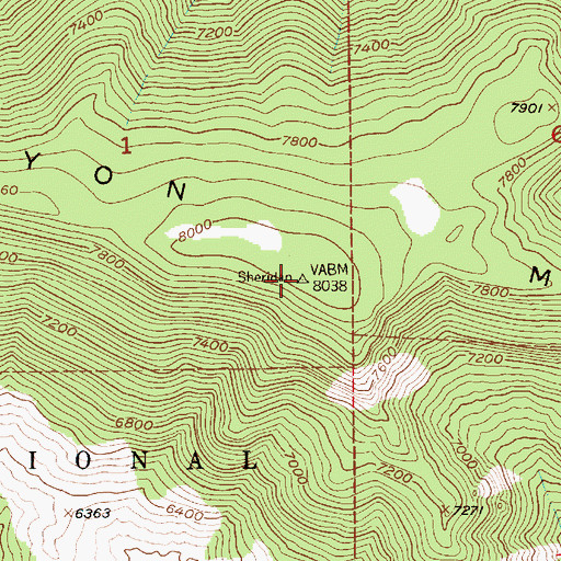 Topographic Map of Canyon Mountain, MT