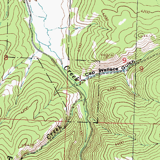 Topographic Map of Cap Wallace Gulch, MT