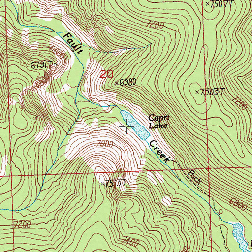 Topographic Map of Capri Lake, MT