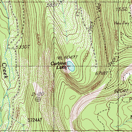 Topographic Map of Carbine Lake, MT
