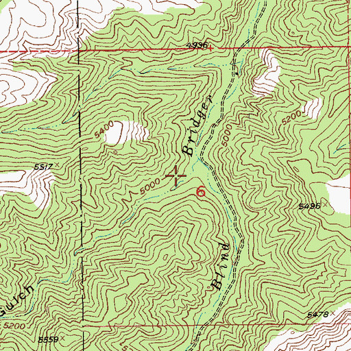 Topographic Map of Carey Gulch, MT