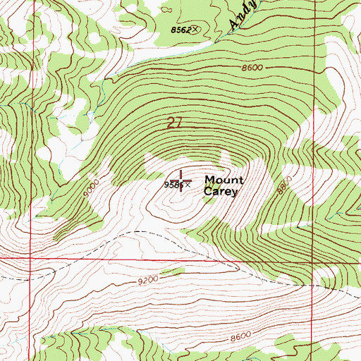 Topographic Map of Mount Carey, MT