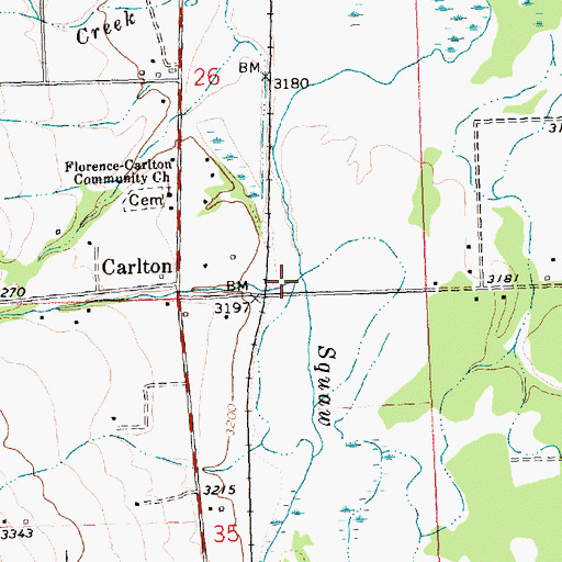 Topographic Map of Carlton Creek, MT