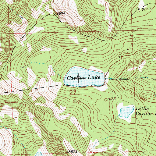 Topographic Map of Carlton Lake, MT