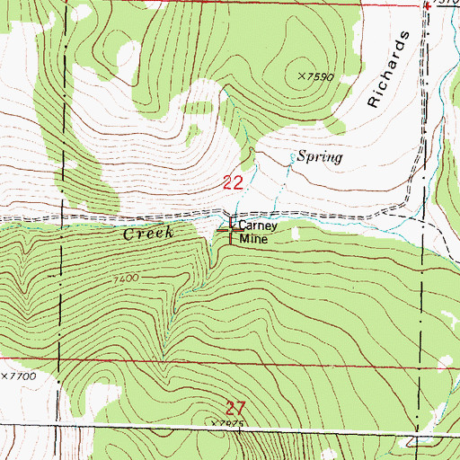 Topographic Map of Carney Mine, MT