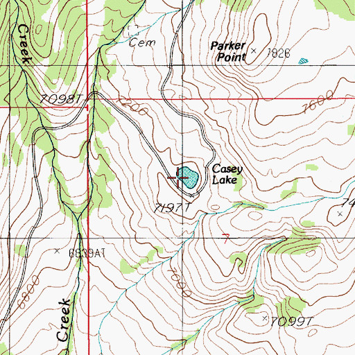 Topographic Map of Casey Lake, MT