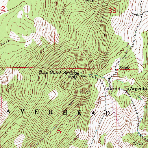 Topographic Map of Cave Gulch Spring, MT