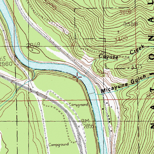 Topographic Map of Cayuse Creek, MT