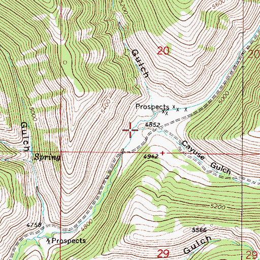 Topographic Map of Cayuse Creek, MT