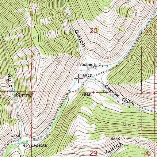 Topographic Map of Cayuse Gulch, MT
