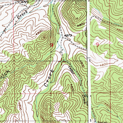 Topographic Map of Cedar Creek, MT