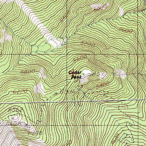 Topographic Map of Cedar Peak, MT