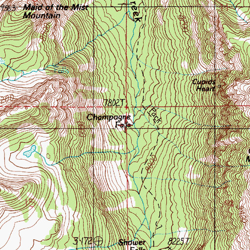 Topographic Map of Champagne Falls, MT