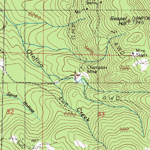 Topographic Map of Champion Mine, MT