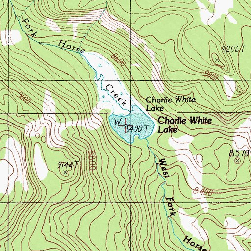 Topographic Map of Charlie White Lake, MT