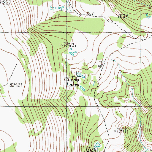 Topographic Map of Cherry Lakes, MT