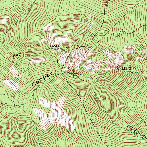 Topographic Map of Chicago Creek, MT