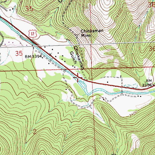 Topographic Map of Chickaman Gulch, MT