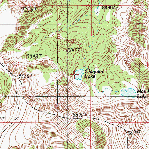 Topographic Map of Chiquita Lake, MT