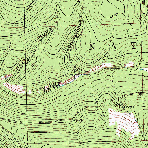 Topographic Map of Christensen Gulch, MT