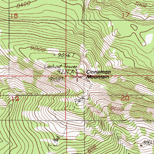 Topographic Map of Cinnamon Mountain, MT