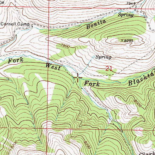 Topographic Map of Clark Fork, MT