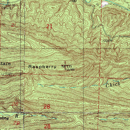 Topographic Map of Raspberry Mountain, AR