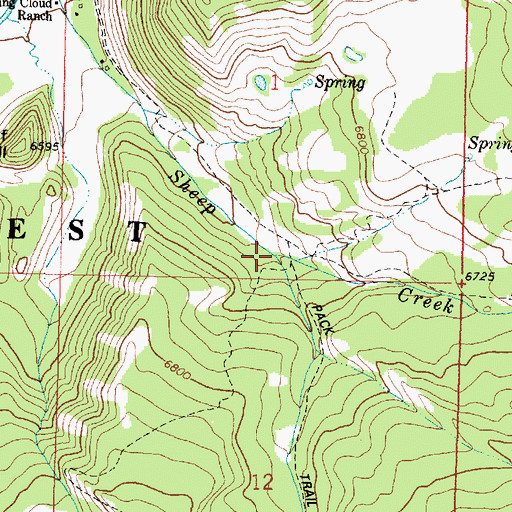 Topographic Map of Clifford Creek, MT