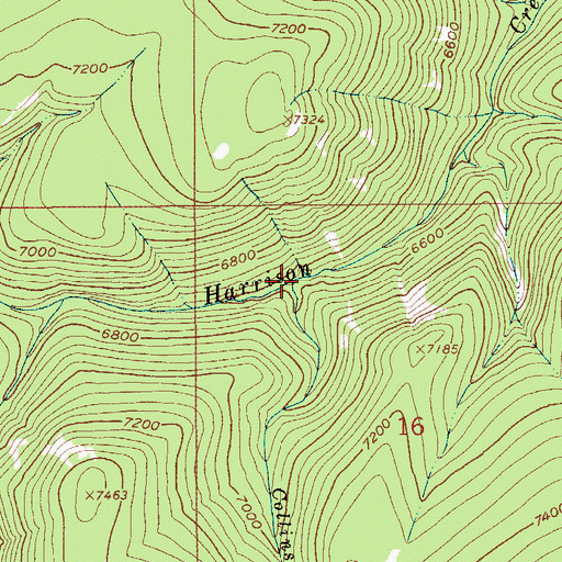 Topographic Map of Collins Creek, MT