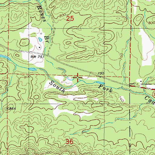 Topographic Map of Reeves Branch, AR