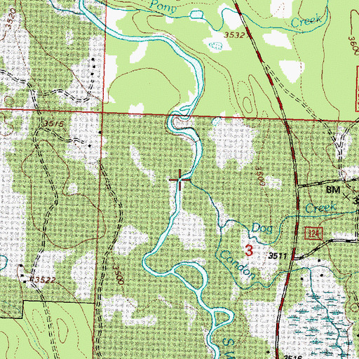 Topographic Map of Condon Creek, MT