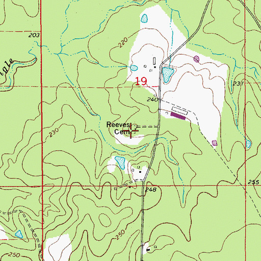 Topographic Map of Reaves Cemetery, AR
