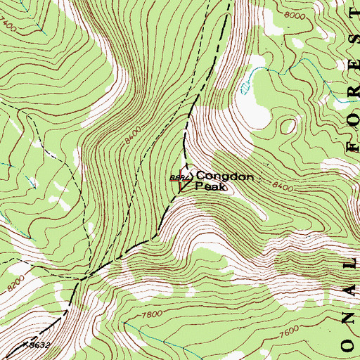Topographic Map of Congdon Peak, MT
