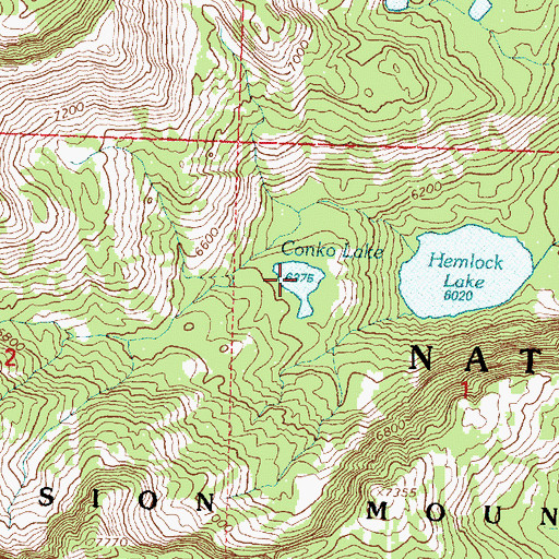 Topographic Map of Conko Lake, MT