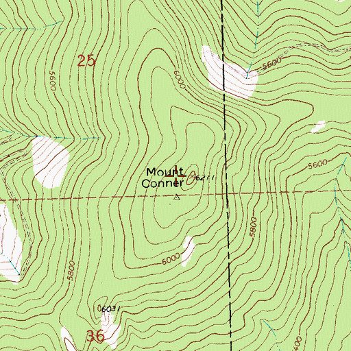 Topographic Map of Mount Conner, MT