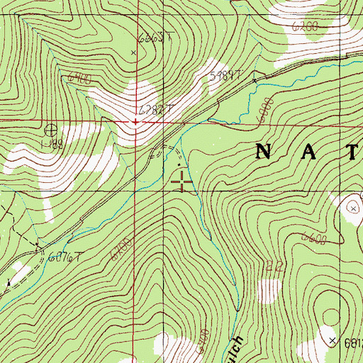 Topographic Map of Connors Gulch, MT