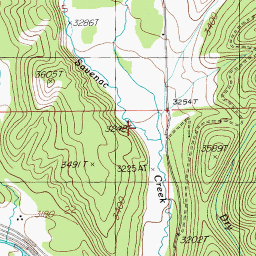 Topographic Map of Cook Creek, MT