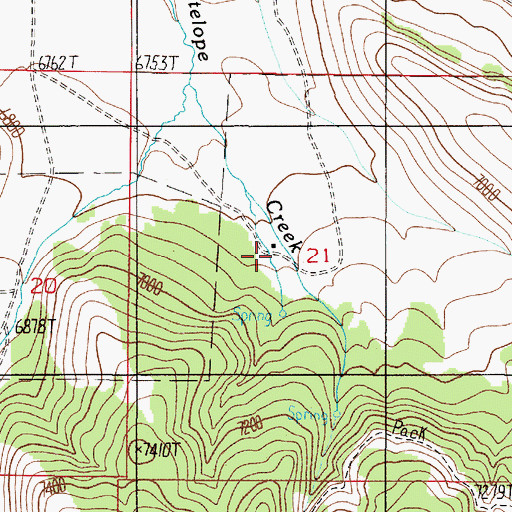 Topographic Map of Cook Sheep Ranch, MT