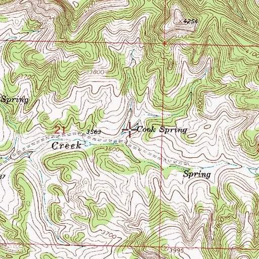 Topographic Map of Cook Spring, MT