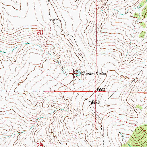 Topographic Map of Cooks Lake, MT