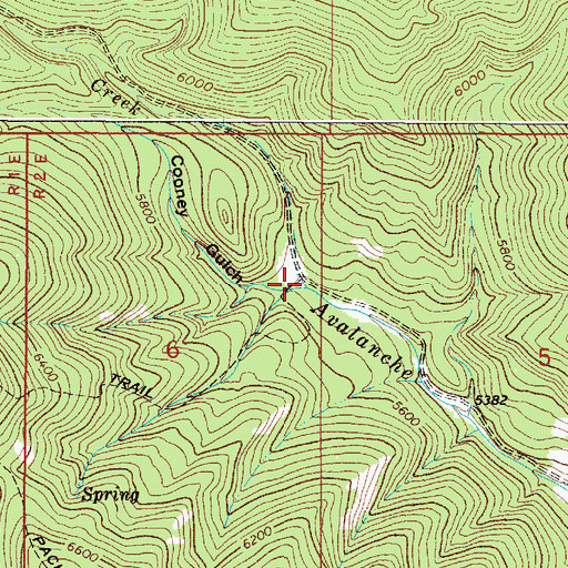 Topographic Map of Cooney Gulch, MT