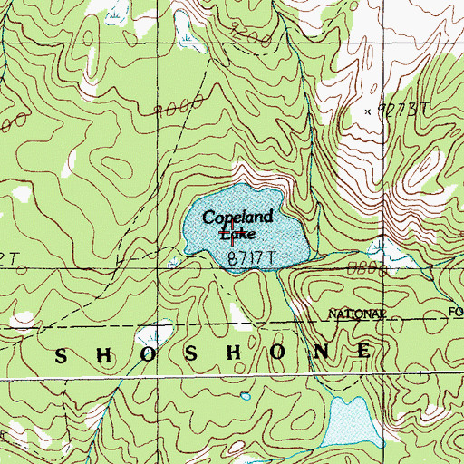 Topographic Map of Copeland Lake, MT